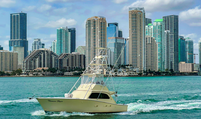 Deep Sea Charter Fishing